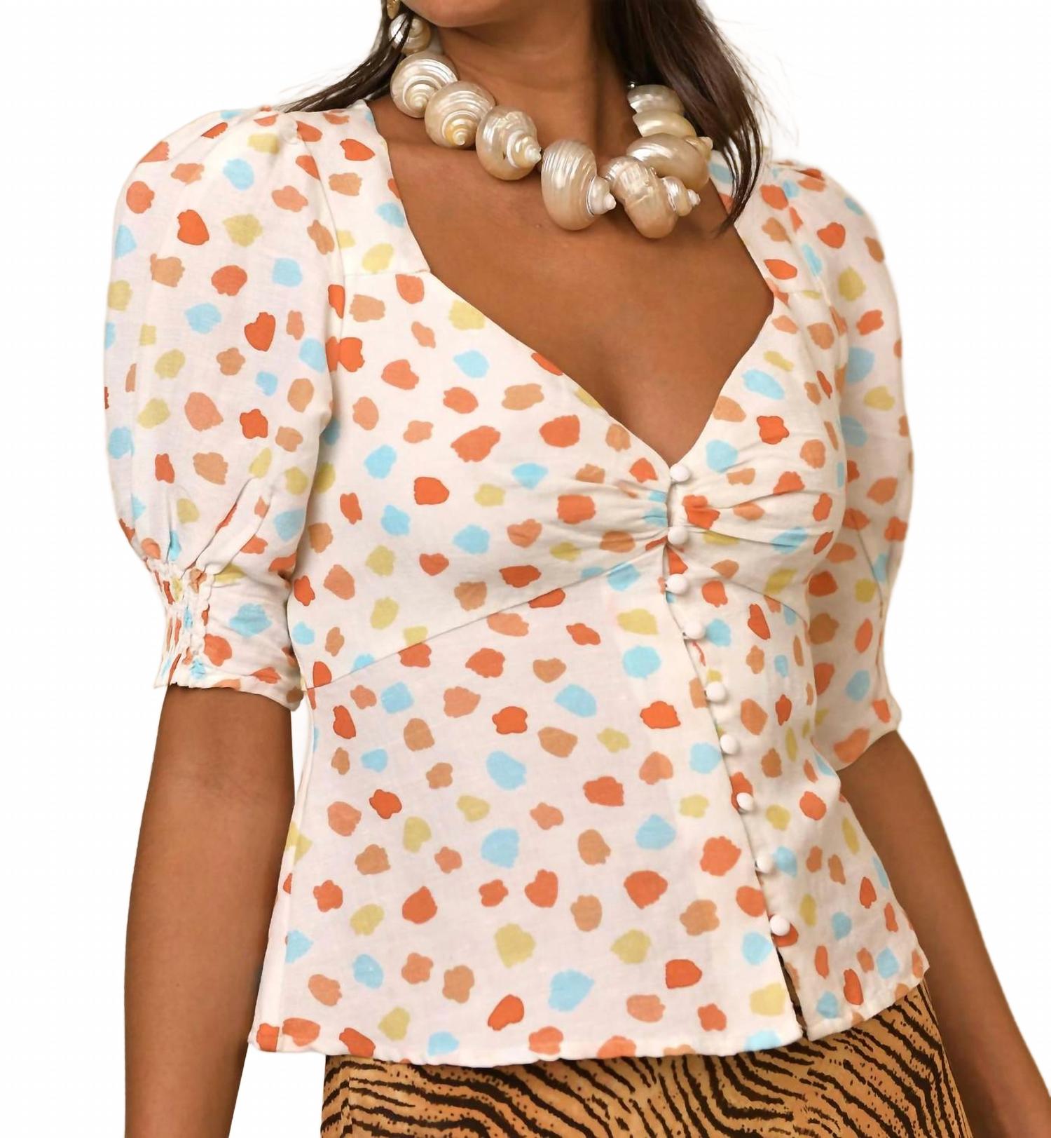 

Пальма топ в тюльпане Rixo, Tulip