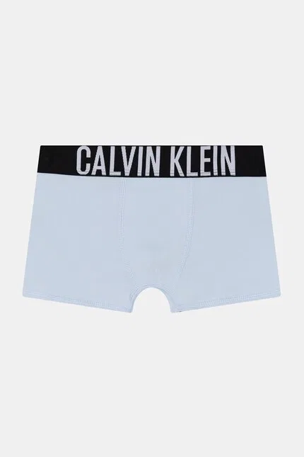 Боксеры детские хлопковые 2 шт Calvin Klein Underwear, синий — фото 2