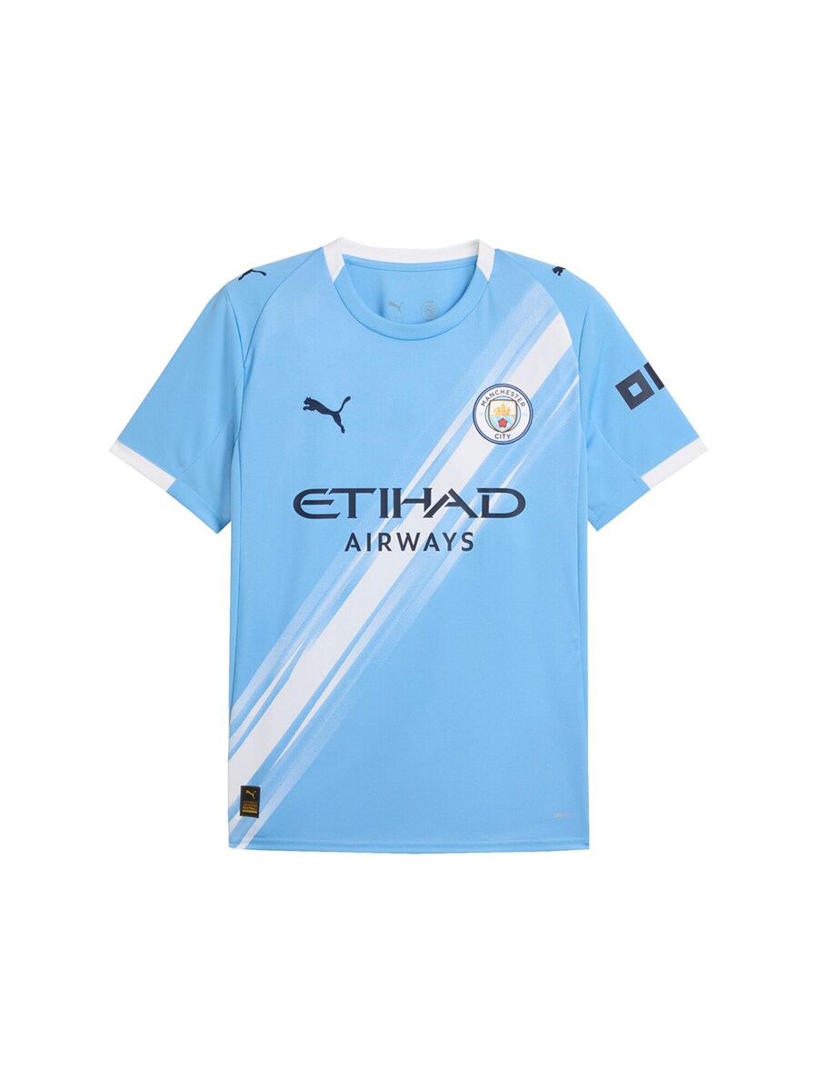 

Джерси PUMA Manchester City 2025/26, светло-голубой, Синий, Джерси PUMA Manchester City 2025/26, светло-голубой