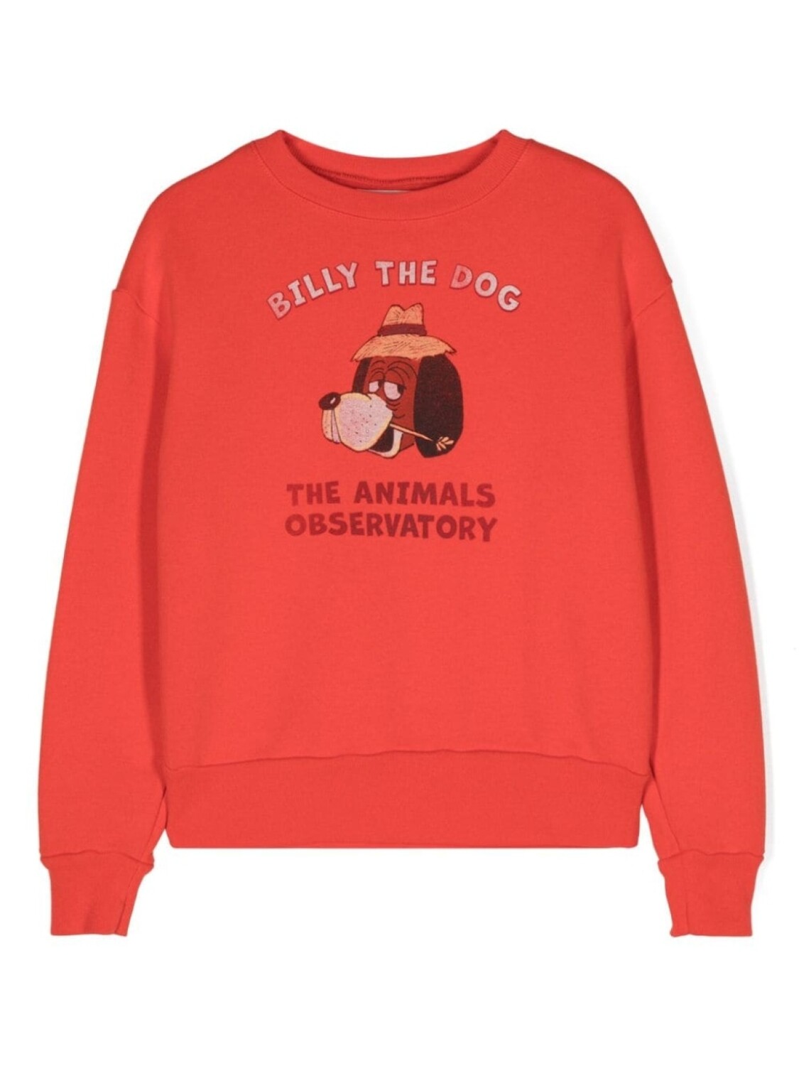 

The Animals Observatory толстовка Bear, красный