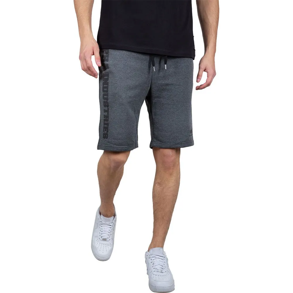 

Шорты Alpha Industries Big Letters, серый