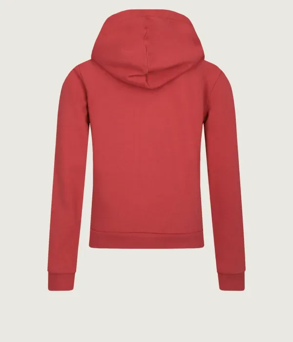 Толстовка regular fit Polo Ralph Lauren, красный — фото 2