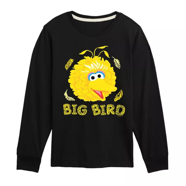 

Мальчики 8-20 футболка с длинным рукавом и принтом Big Bird из «Улицы Сезам» Licensed Character, черный