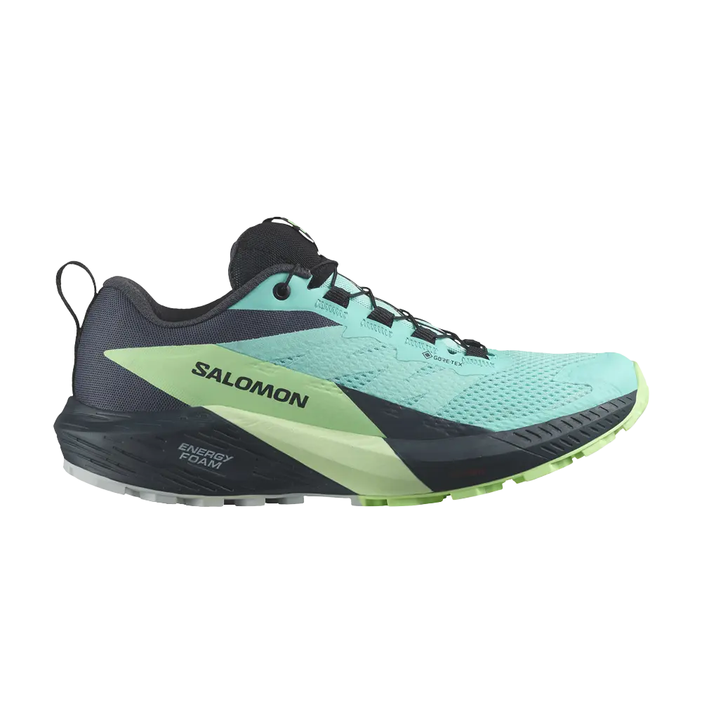 Кроссовки Wmns Sense Ride 5 GORE-TEX Salomon, синий