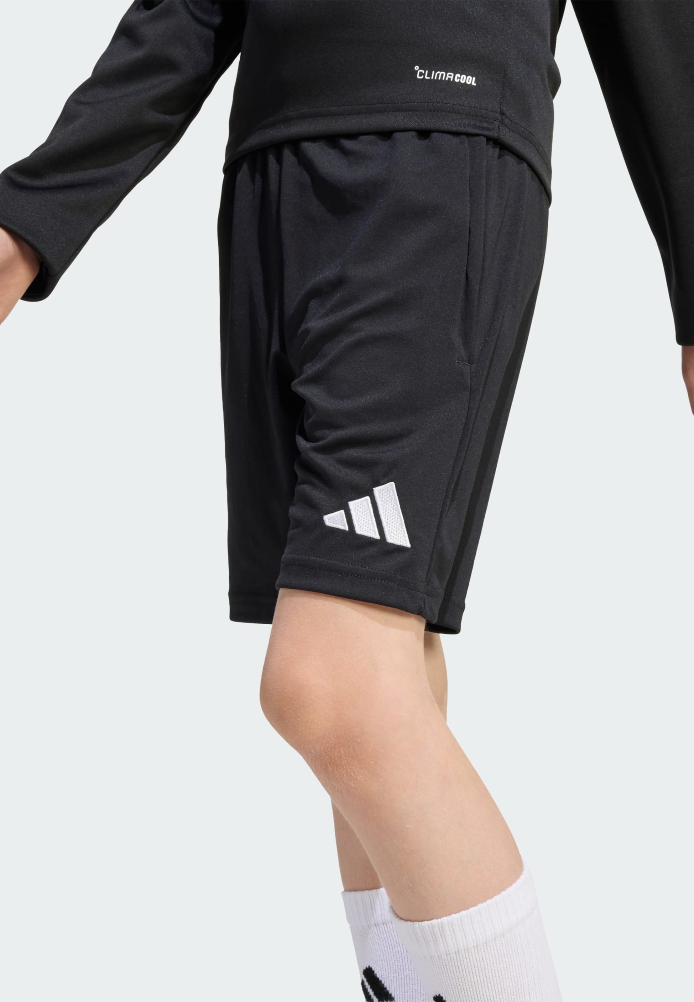 Adidas Performance Шорты для тренировок Regular 'Entrada26' в черном цвете — фото 4