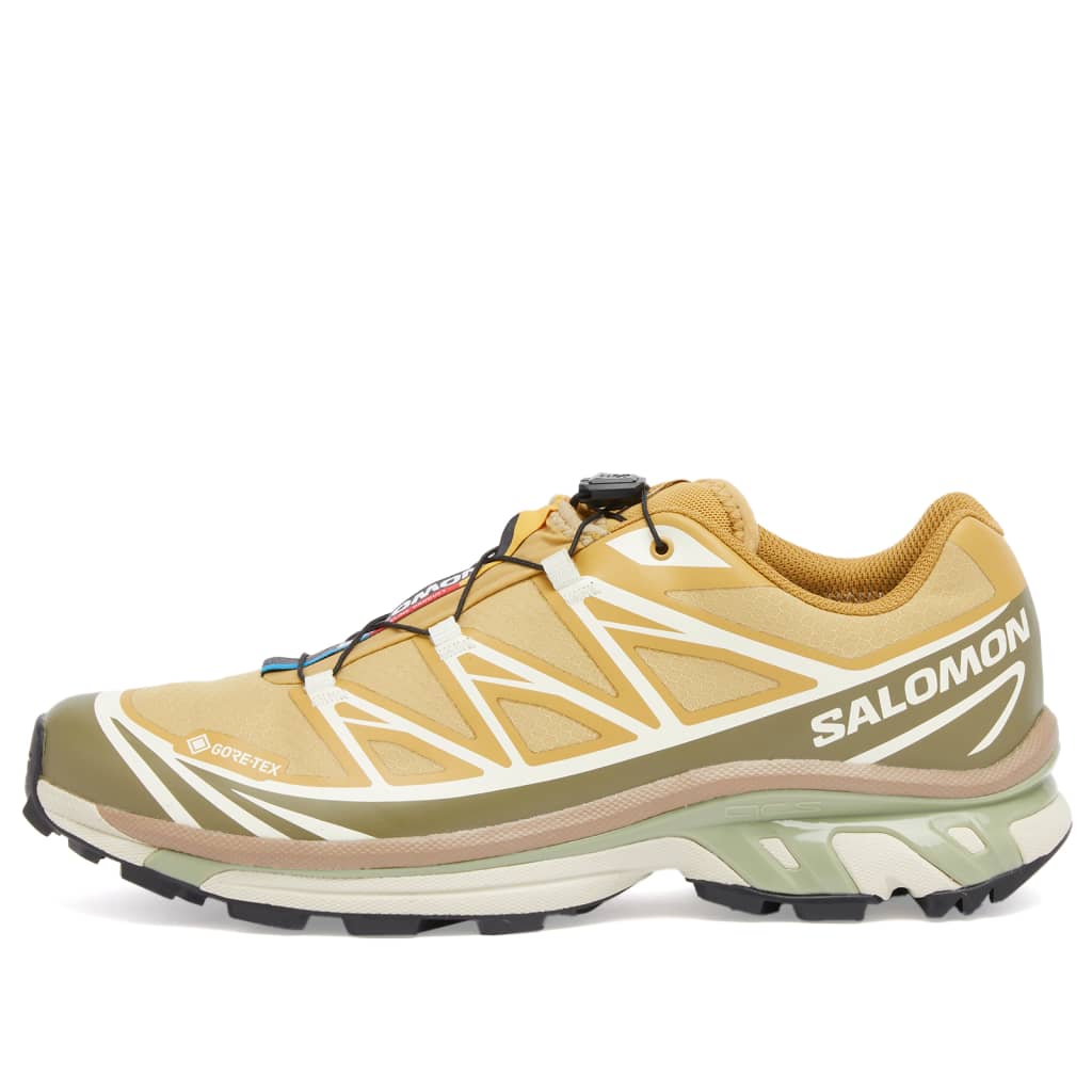 

Кроссовки XT-6 GTX Salomon, мультиколор