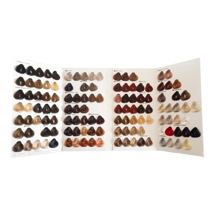 

Краска для волос Professional Evolution Of The Color Color Card Mini