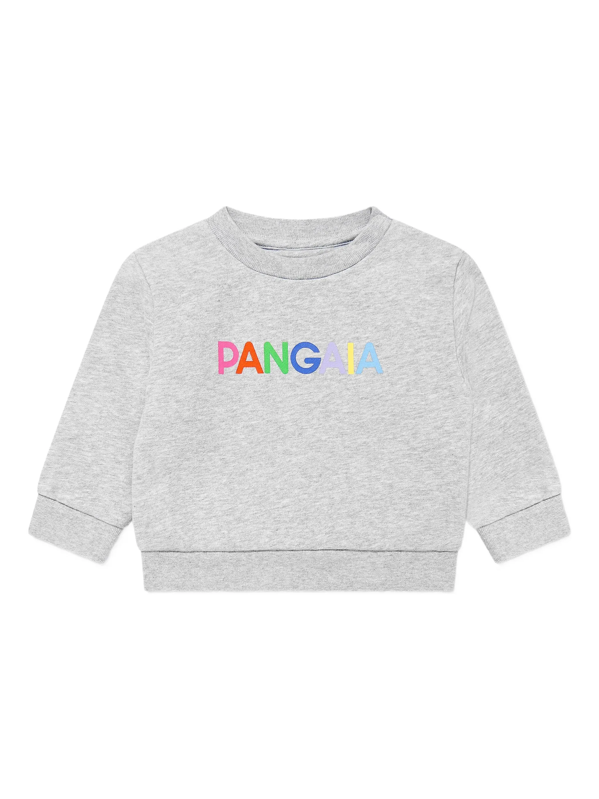 

Толстовка с логотипом Pangaia Kids, серый