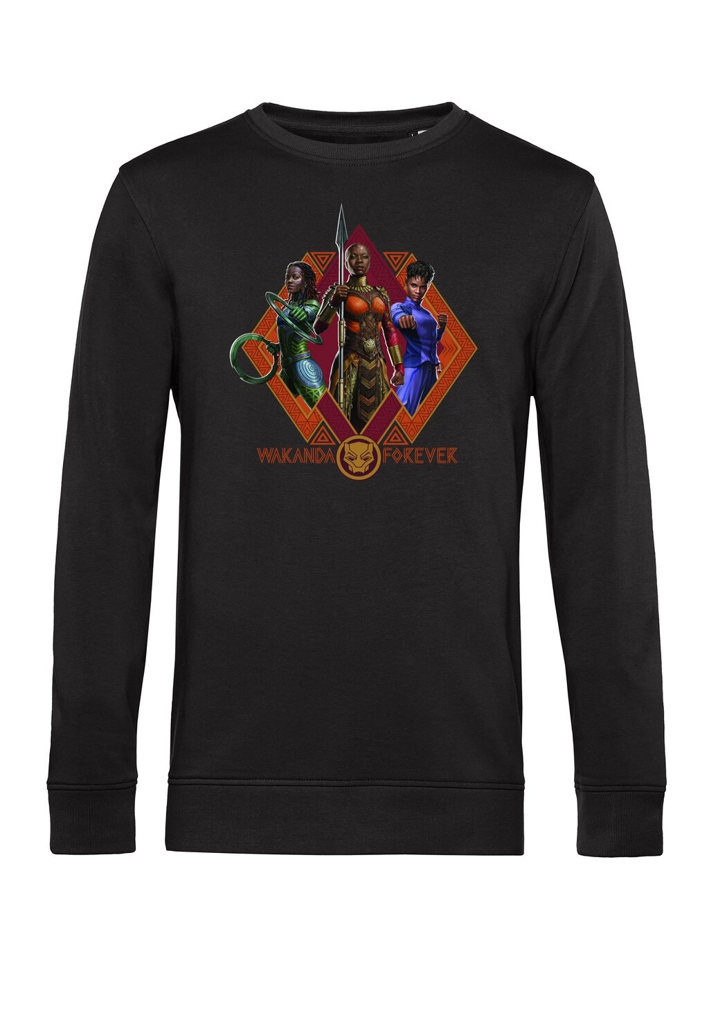 

Толстовка MARVEL BLACK PANTHER: WAKANDA FOREVER TRIO Marvel, черный