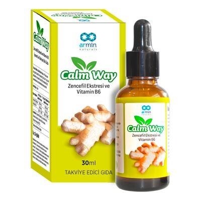 

Calm Way Имбирь Витамин B6 30мл Капли ARMİN