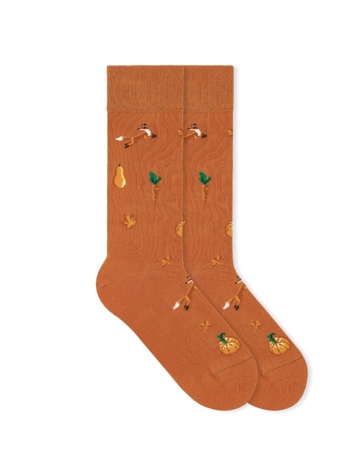 

Von Jungfeld Осенние носки с узором «Лиса и тыква»