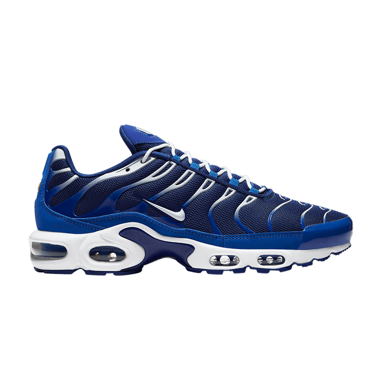 

Кроссовки Air Max Plus 'Arctic Chill', синий
