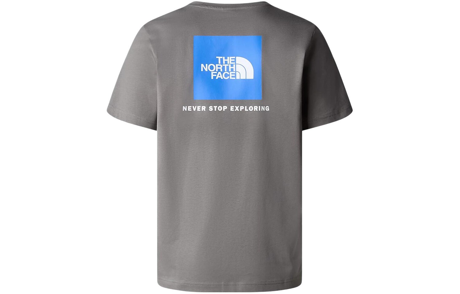 

Футболка мужская серая The North Face, серый