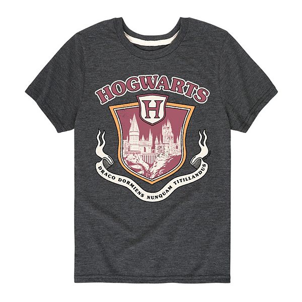 

Футболка с принтом Harry Potter Hogwarts Collegiate для мальчиков 8-20 Licensed Character, Heather Charcoal