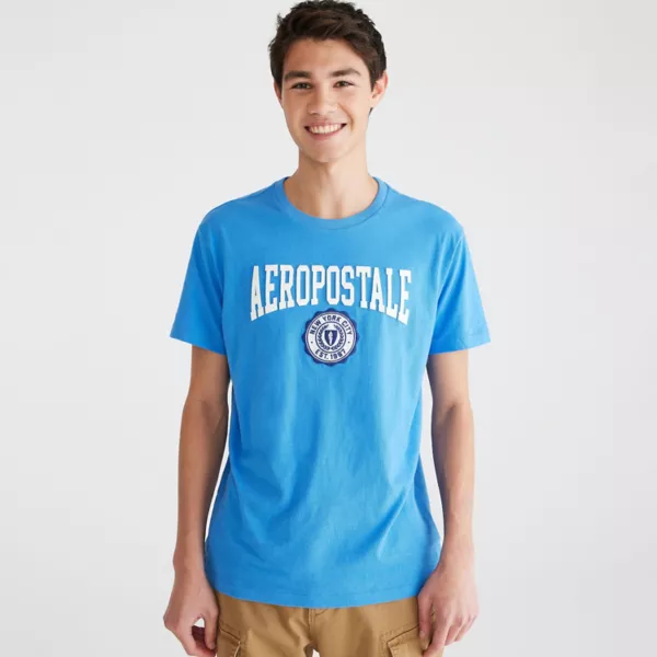 

Мужская графическая футболка Aeropostale, цвет palace blue