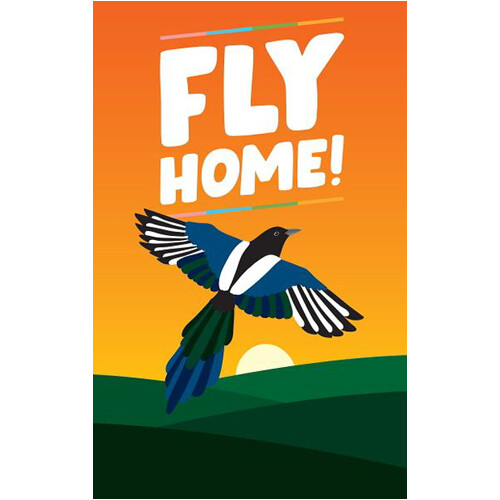 

Настольная игра Fly Home