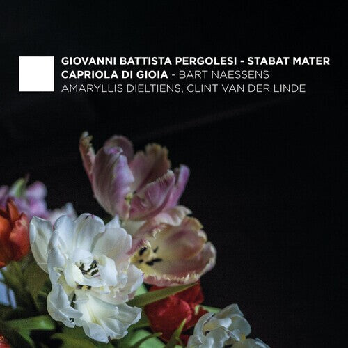

CD диск Pergolesi / Dieltiens / Naessens: Stabat Mater