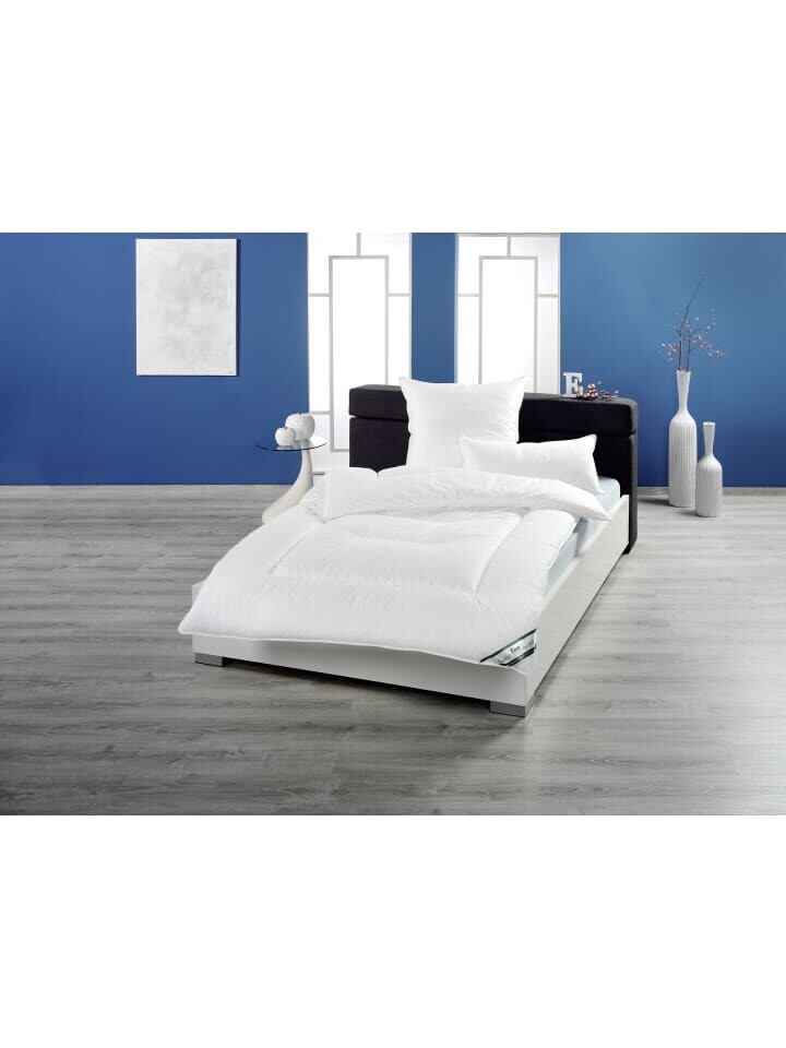 

Пуховое одеяло fan Frankenstolz Bett Texas Duo Steppbett 135x200, цвет duo-steppbett