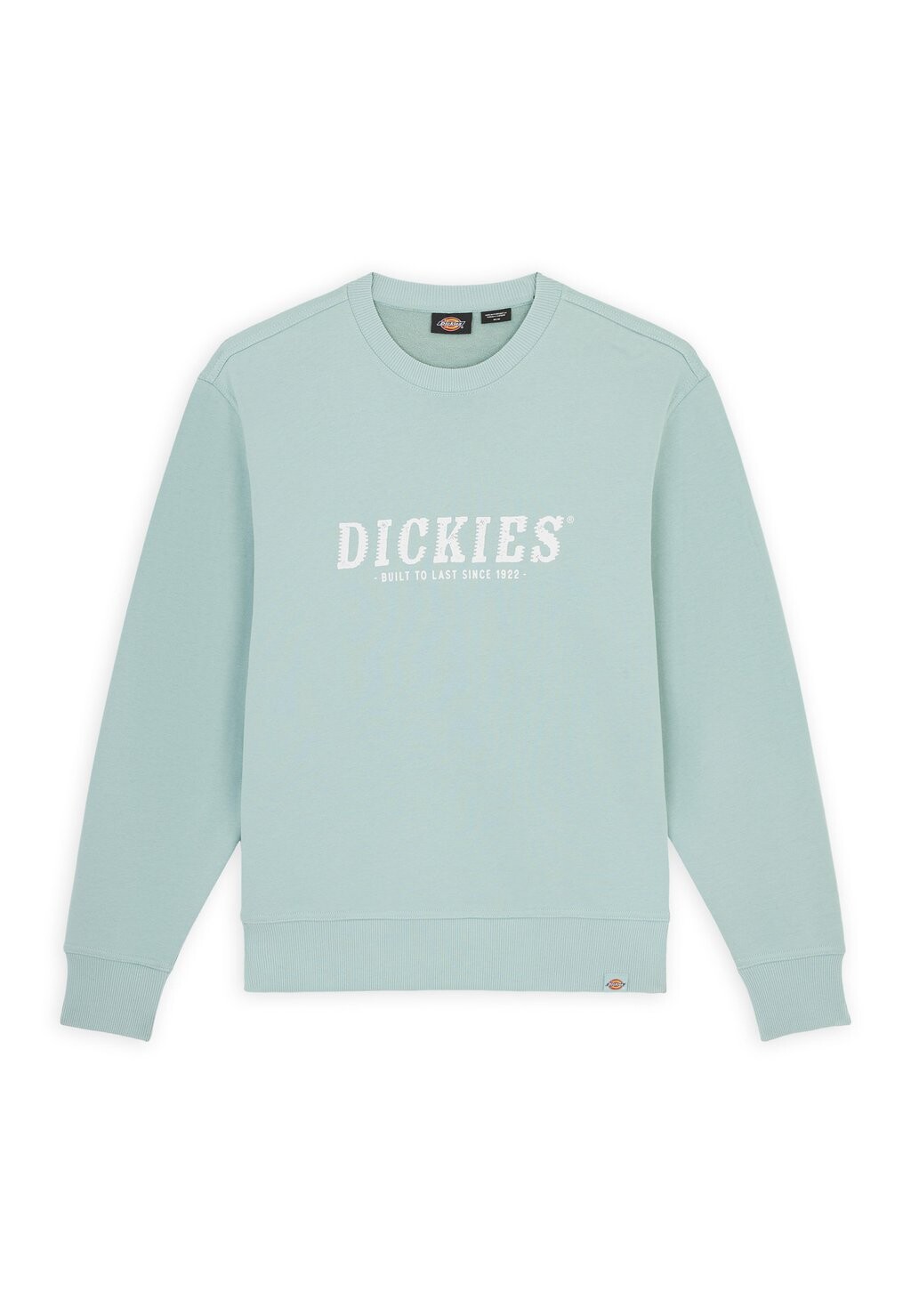 

Толстовка с капюшоном SCRIPT Dickies, светло-голубой