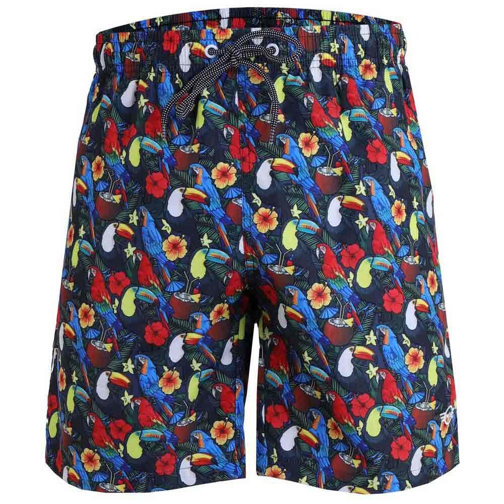 

Шорты для плавания Newwood Exotic Birds Swimming Shorts, Разноцветный