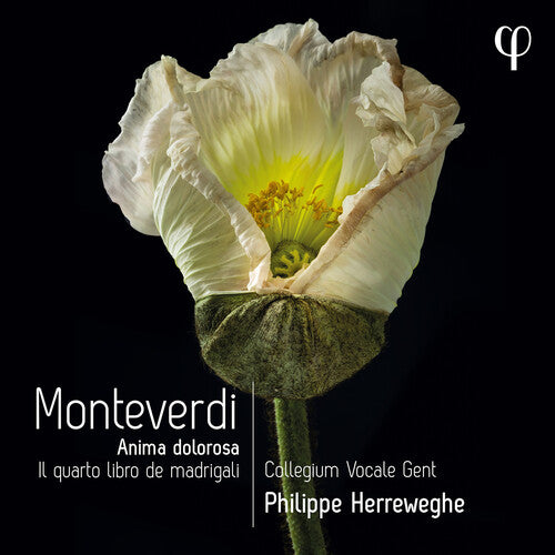 

CD диск Monteverdi / Collegium Vocale Gent / Herreweghe: Il Quarto Libro de