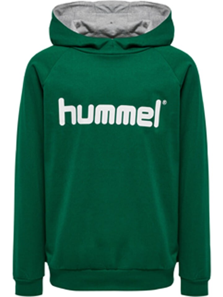 

Худи Hummel Cotton Hmlgo Multisport Kinder, цвет evergreen