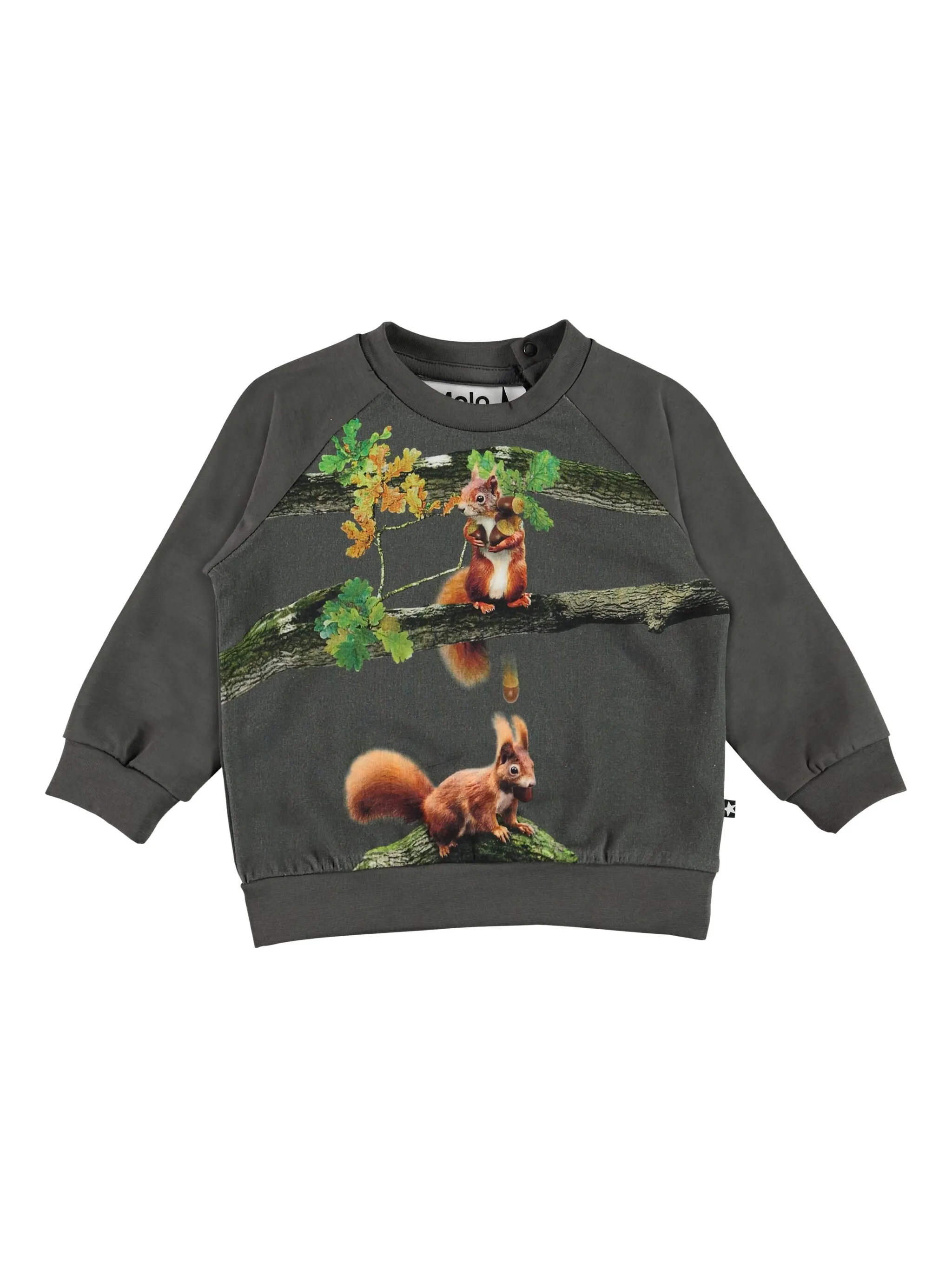 

Толстовка с графичным принтом Molo, серый