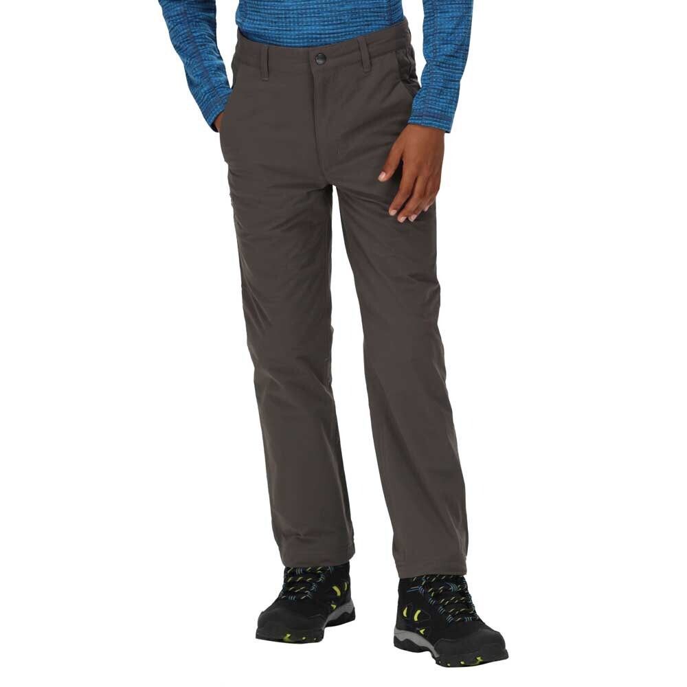 

Брюки Regatta Highton Waterproof, серый