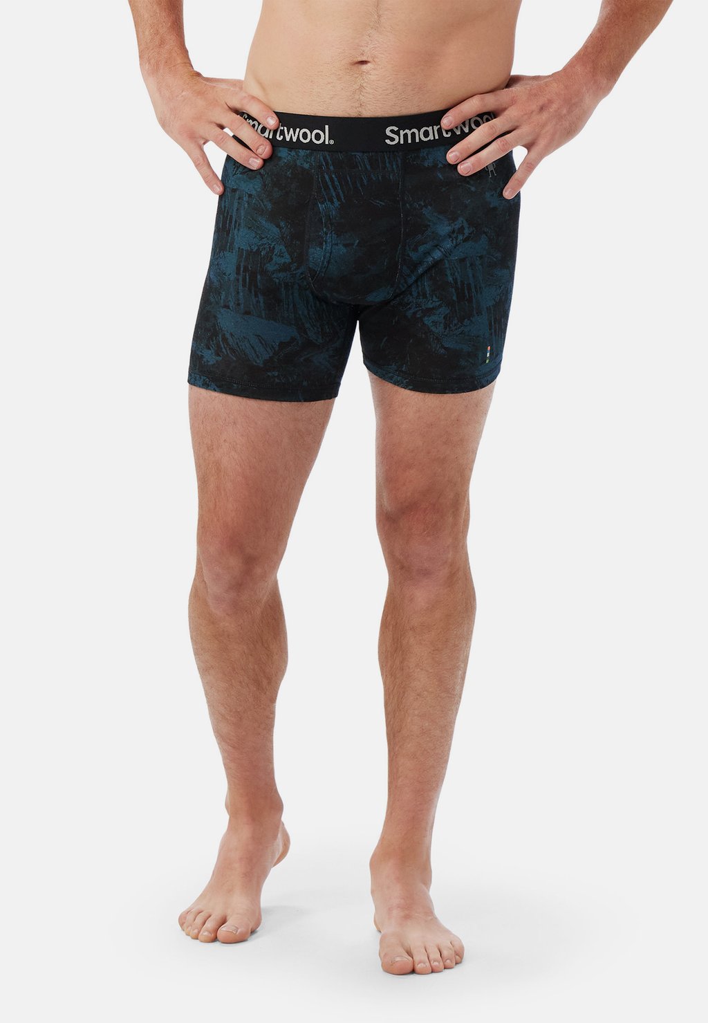 

Брюки Smartwool, синий