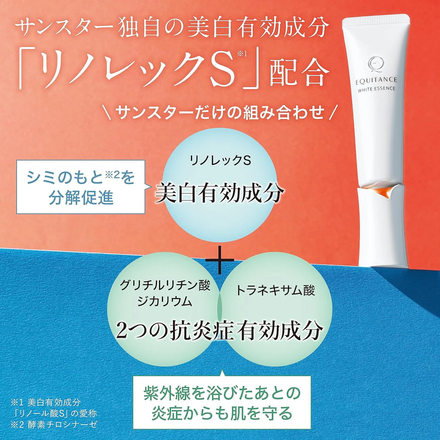 Набор сыворотки и крема для отбеливания Equitance White Essence и White Cream 30 г + 40 г — фото 3