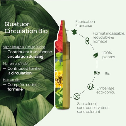 Quatuor Circulation Bio Light Legs with Chestnut Superdiet — фото 3