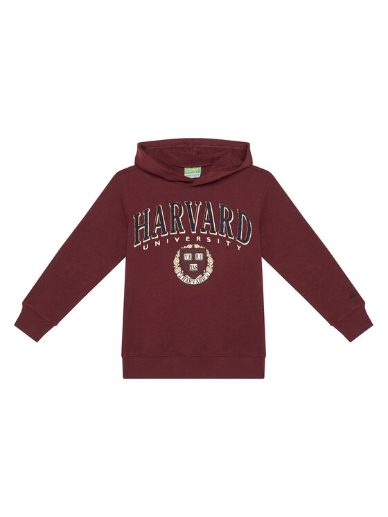 

Свитшот regular fit 32N4C204U United Colors Of Benetton, красный