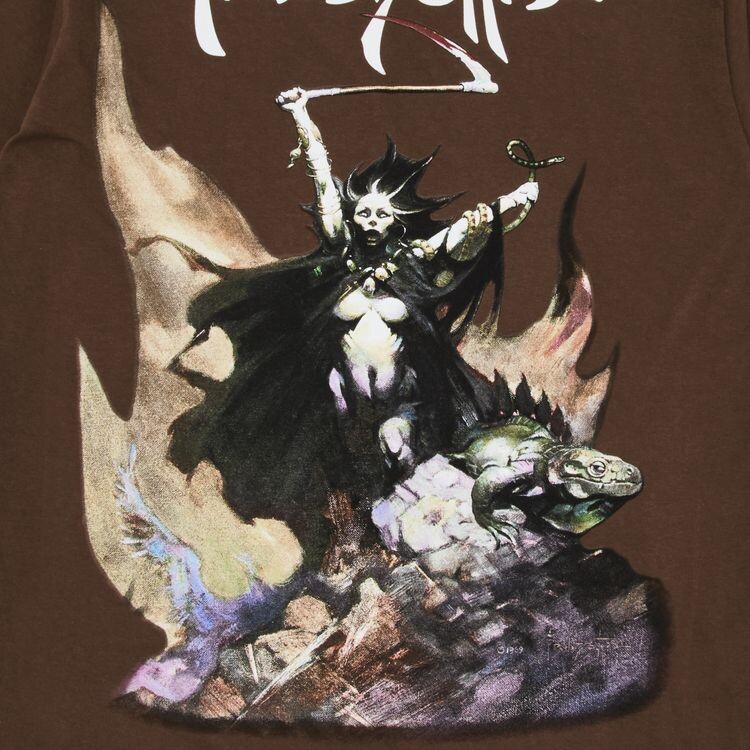 Футболка Supreme x Frank Frazetta Woman With Scythe Tee Brown, коричневый — фото 3