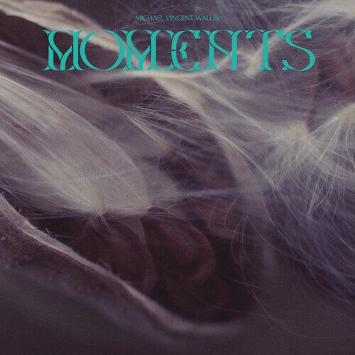 

CD диск Waller, Michael Vincent: Moments