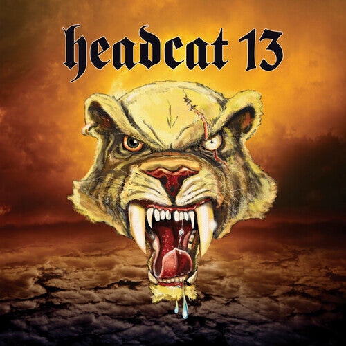 

Виниловая пластинка Headcat 13: Headcat 13