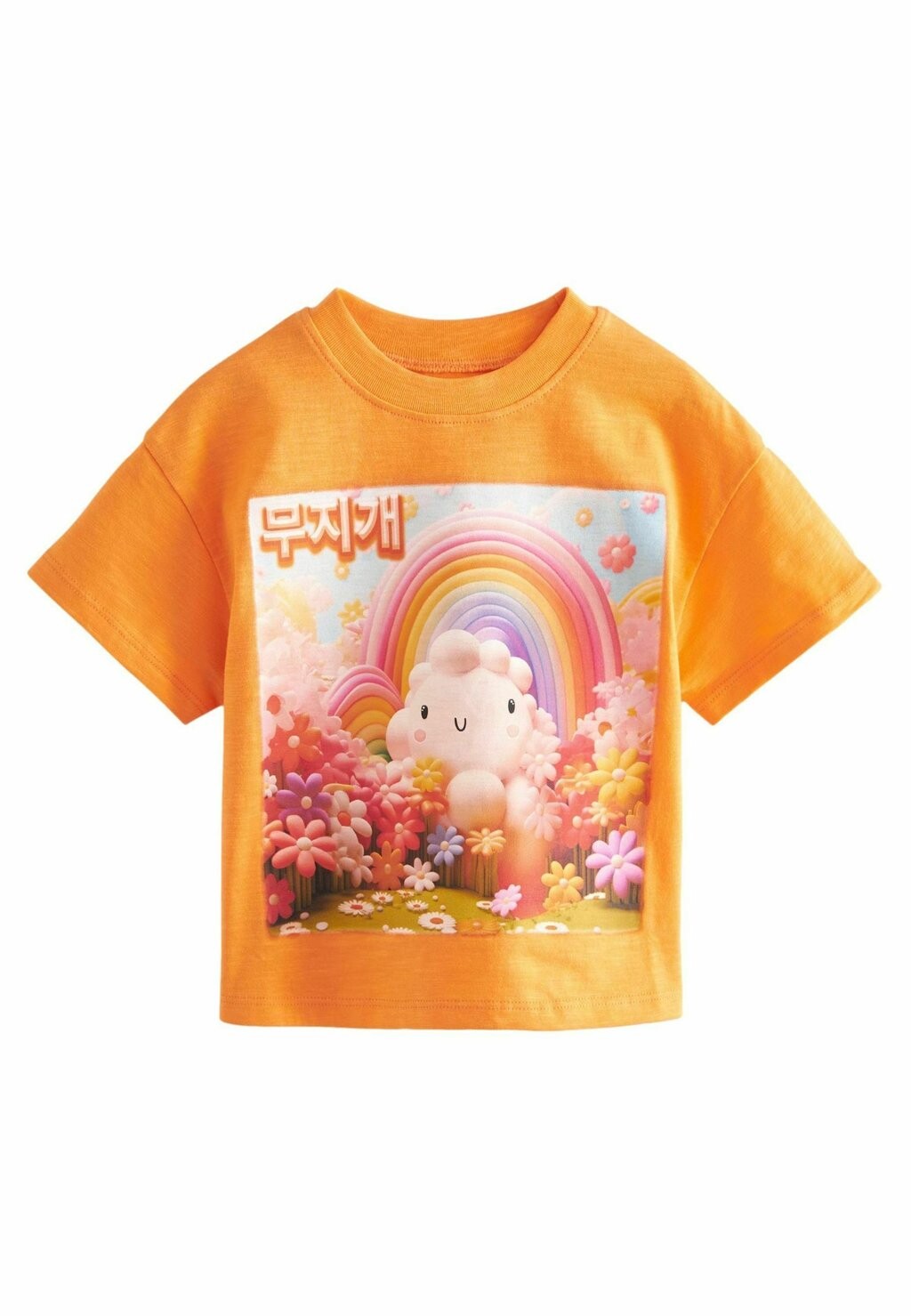 

Футболка с принтом SHORT SLEEVE REGULAR FIT Next, цвет orange cloud character