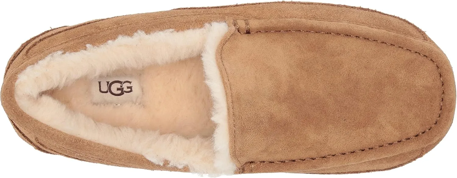 Мужские домашние тапочки Ascot без шнурков Ugg, каштановый — фото 2