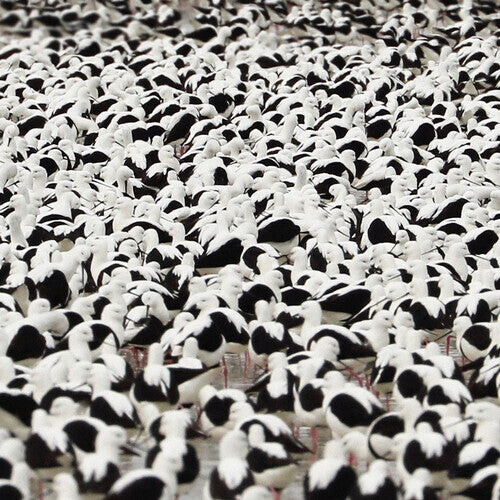 

Виниловая пластинка Donnelly, Stella: Flood