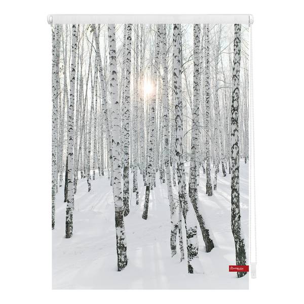 

Рулонные шторы Lichtblick Birkenwald, 60x150x6 см цвет weiß/schwarz