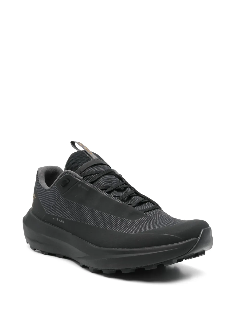 Кроссовки Norvan LD 4 GTX Arc'teryx, черный — фото 2