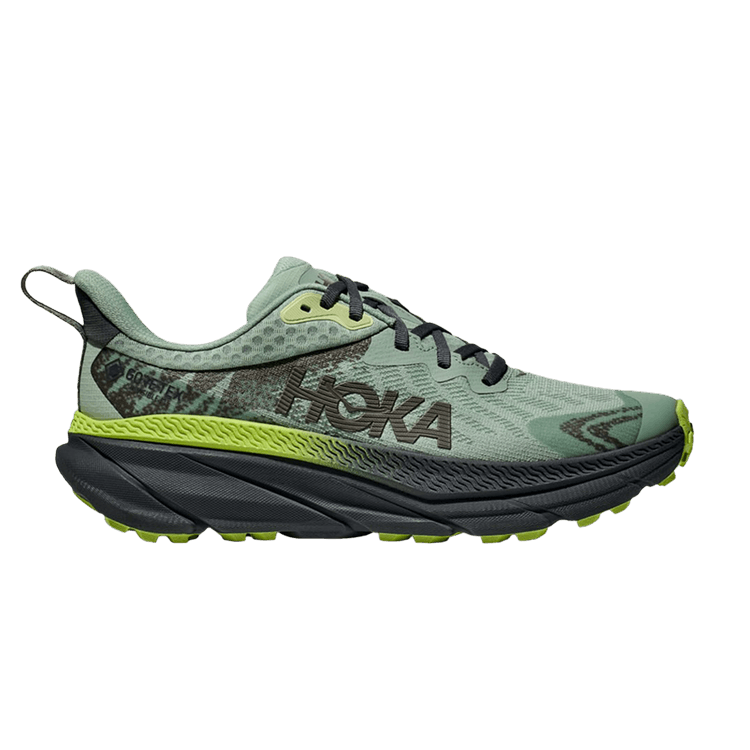 

Кроссовки Challenger ATR 7 GORE-TEX 'Aloe Vera', зеленый