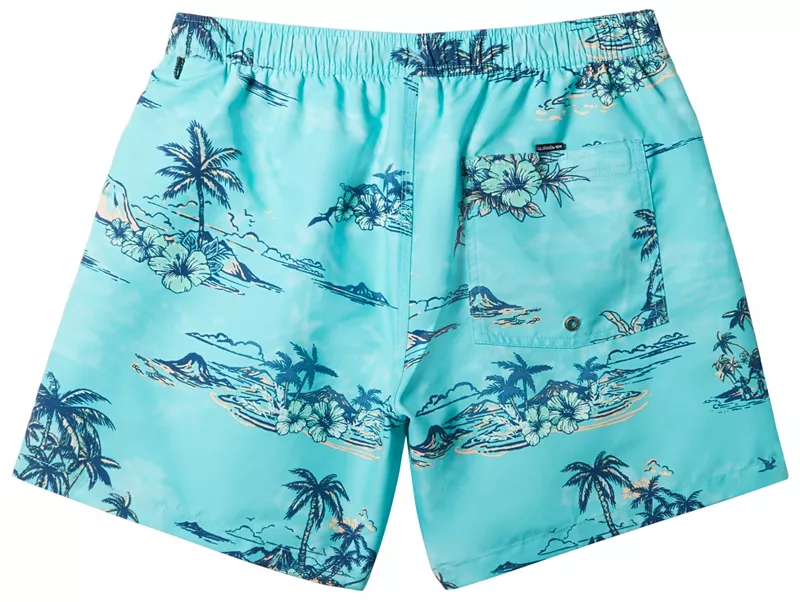 

Мужские шорты Quiksilver Mix Volley на каждый день, 17 дюймов, с эластичной резинкой на талии, цвет Capri