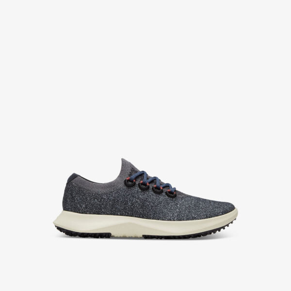 

Низкие кроссовки Wool Dasher 2 Mizzle Allbirds, серый