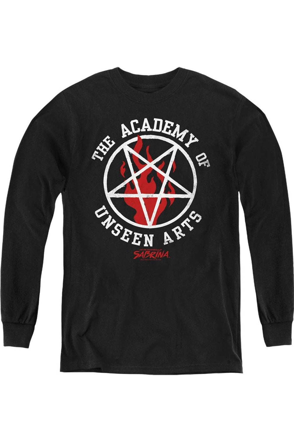 

Молодежная толстовка с длинным рукавом "Chilling Adventures Of Sabrina: Академия невидимых искусств" Gildan, черный