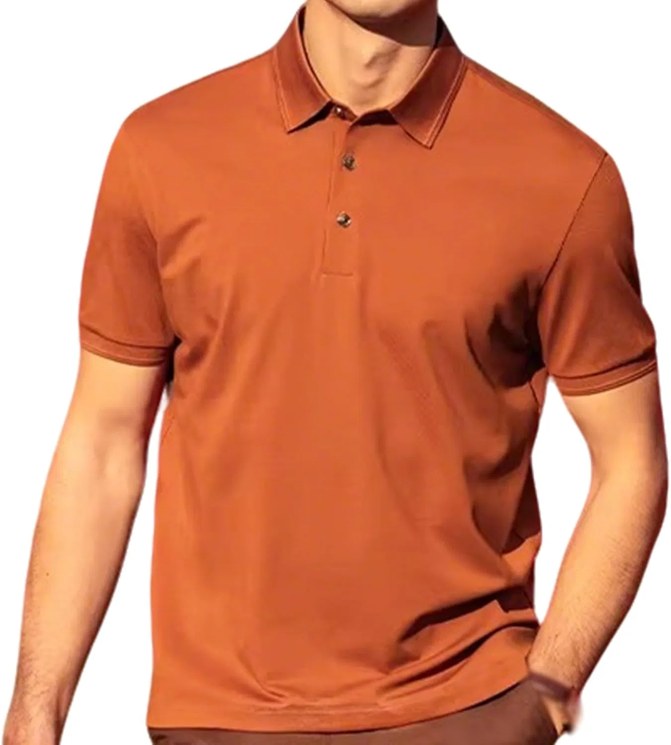 Мужская поло, slim fit, хлопок/полиэстер/шелк/спандекс, коричневый