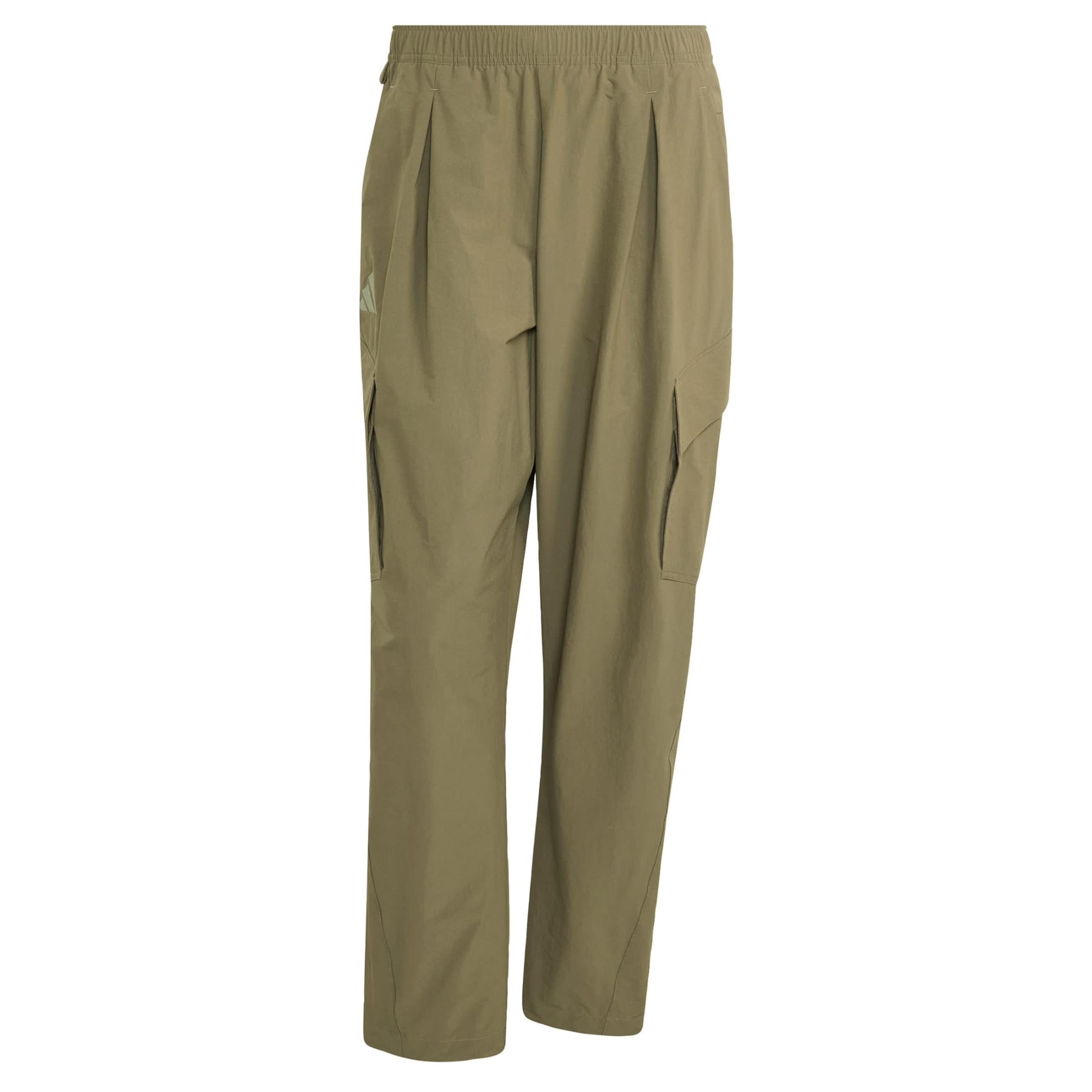 

ADIDAS TERREX Штаны Outdoor Loose fit 'Xploric' в зеленом цвете