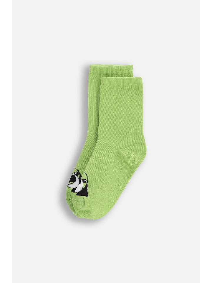 

Coccodrillo Носки оливково-зеленого цвета
