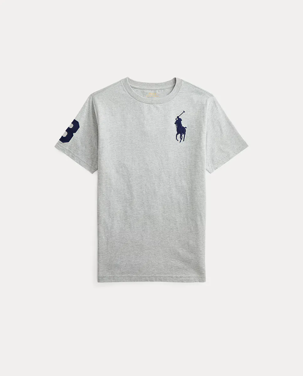 

Серая хлопковая футболка для мальчика с крупным полипропиленом Polo Ralph Lauren, серый