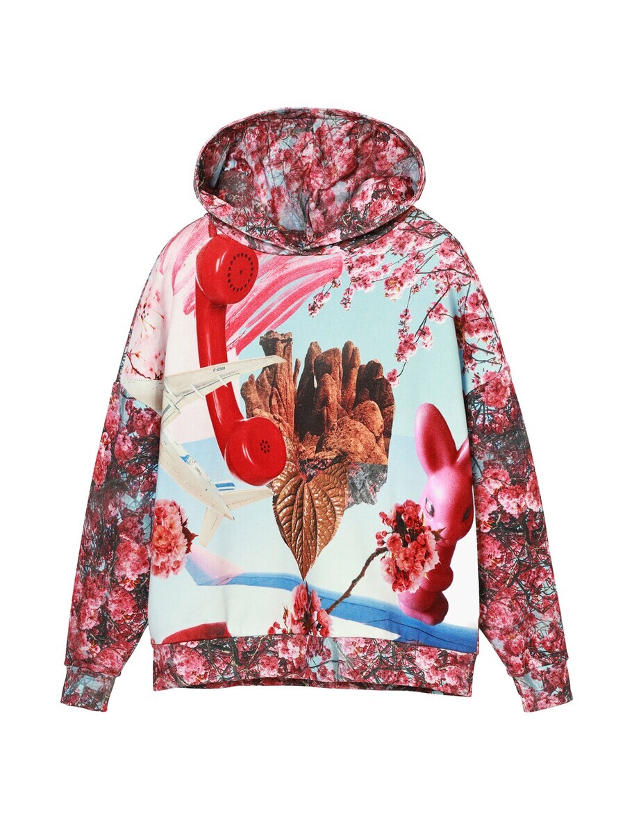 

Толстовка Desigual, цвет Mixed colors