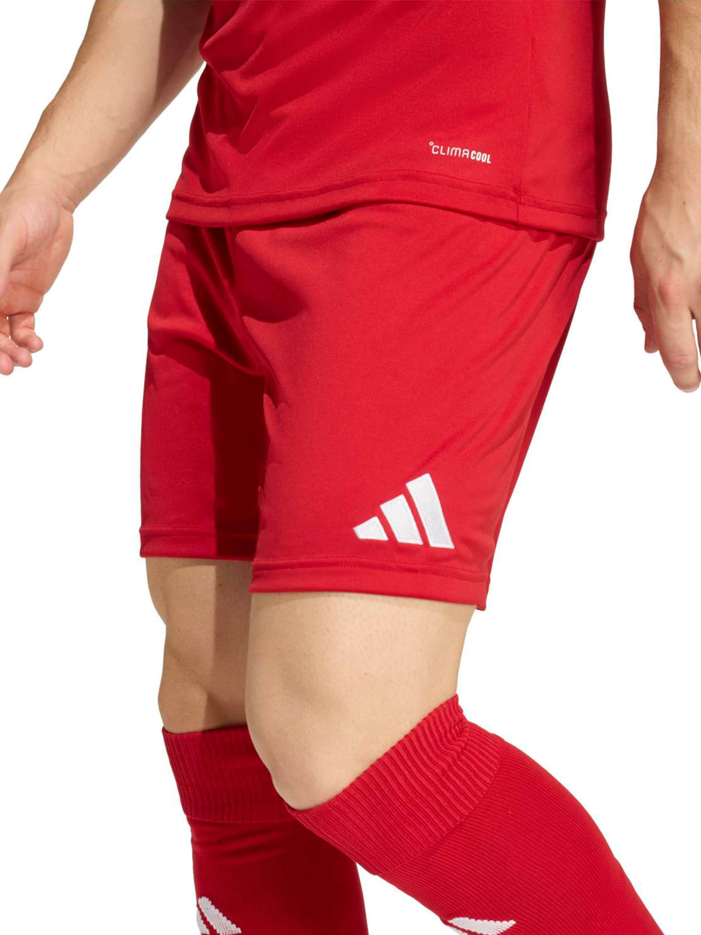 Adidas Performance Шорты для тренировок Regular 'ENT26' в красном цвете — фото 4